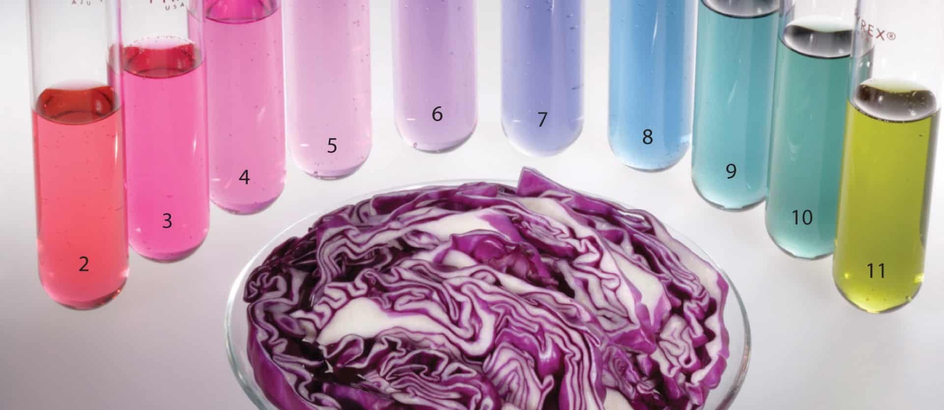 sliced purple cabbage in front of various test tubes with liquids of different colors