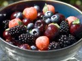 bowl of various berries