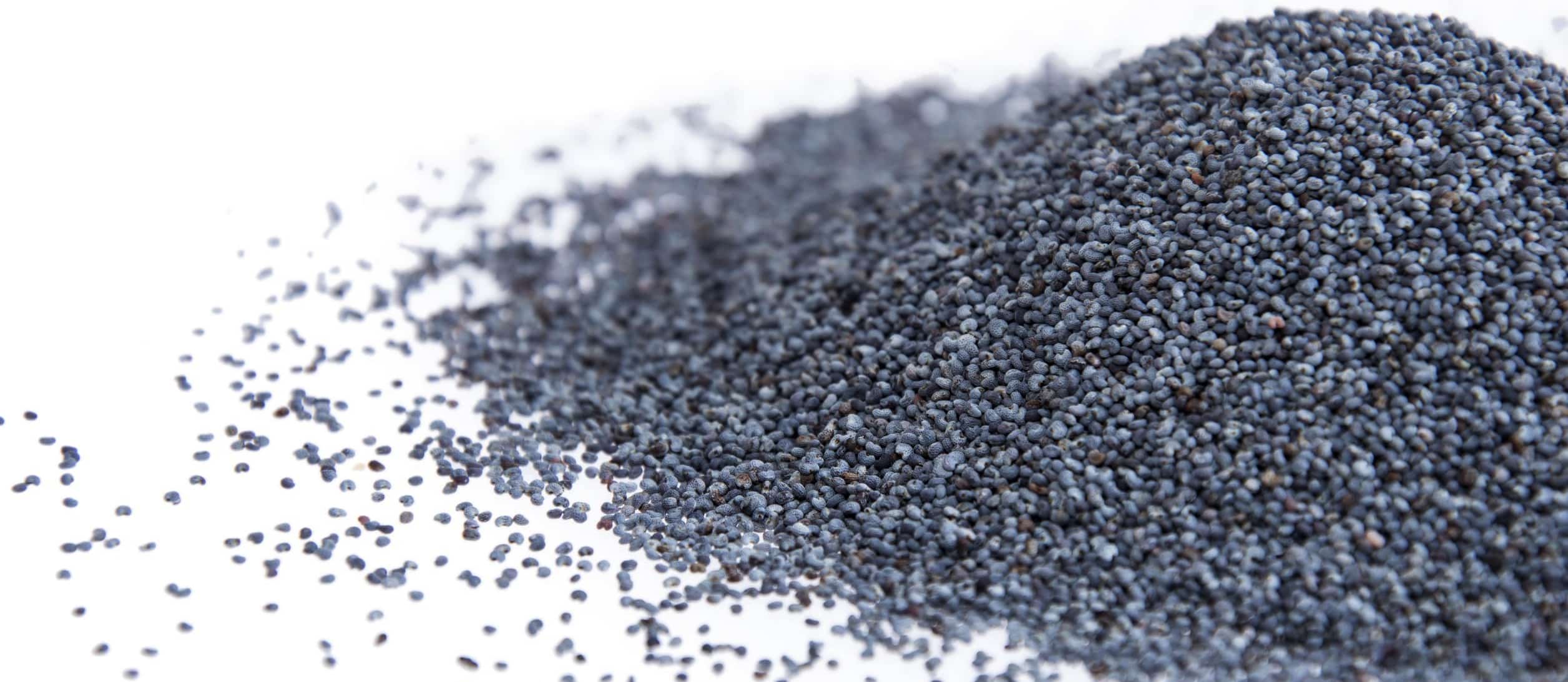 How Many Poppy Seeds Are Too Many?