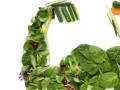 Lifestyle Medicine: Treating the Causes of Disease