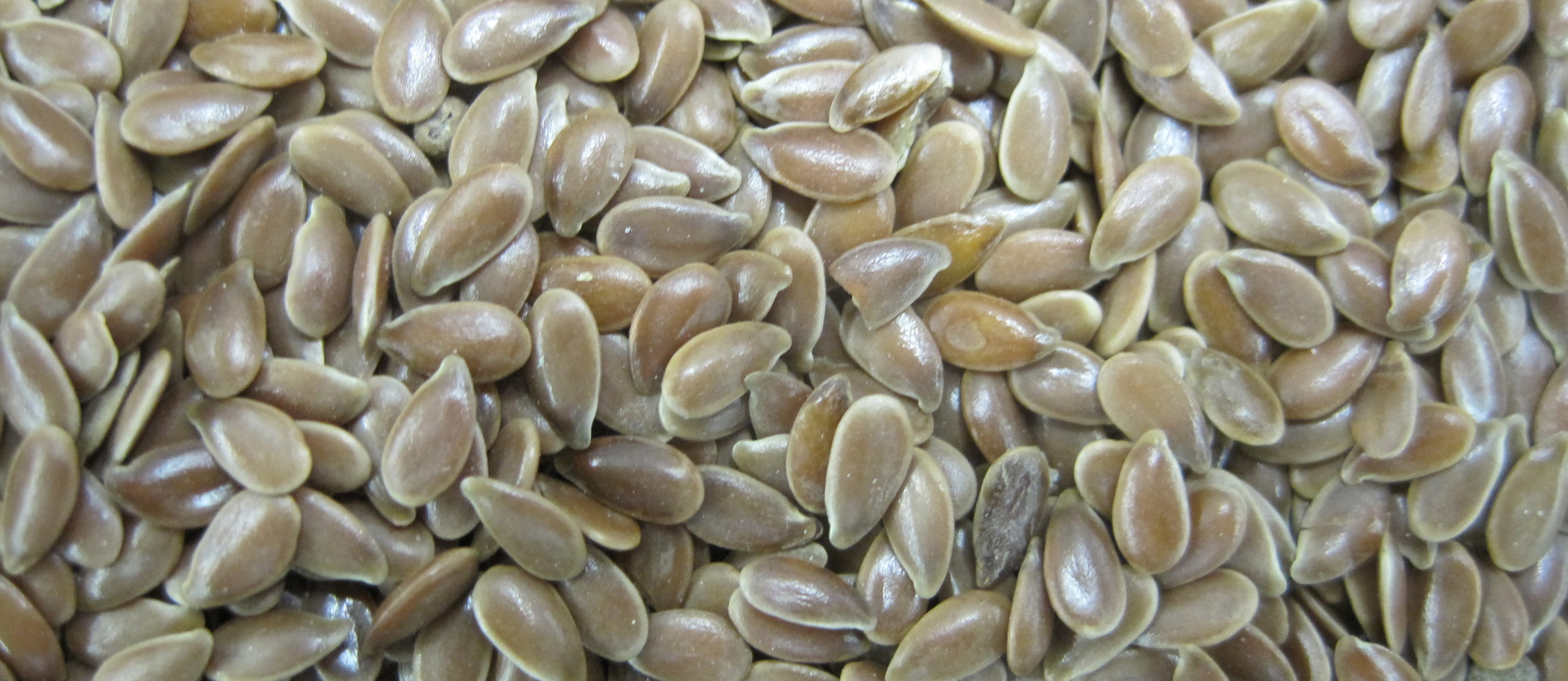 Treating Breast Pain with Flax Seeds
