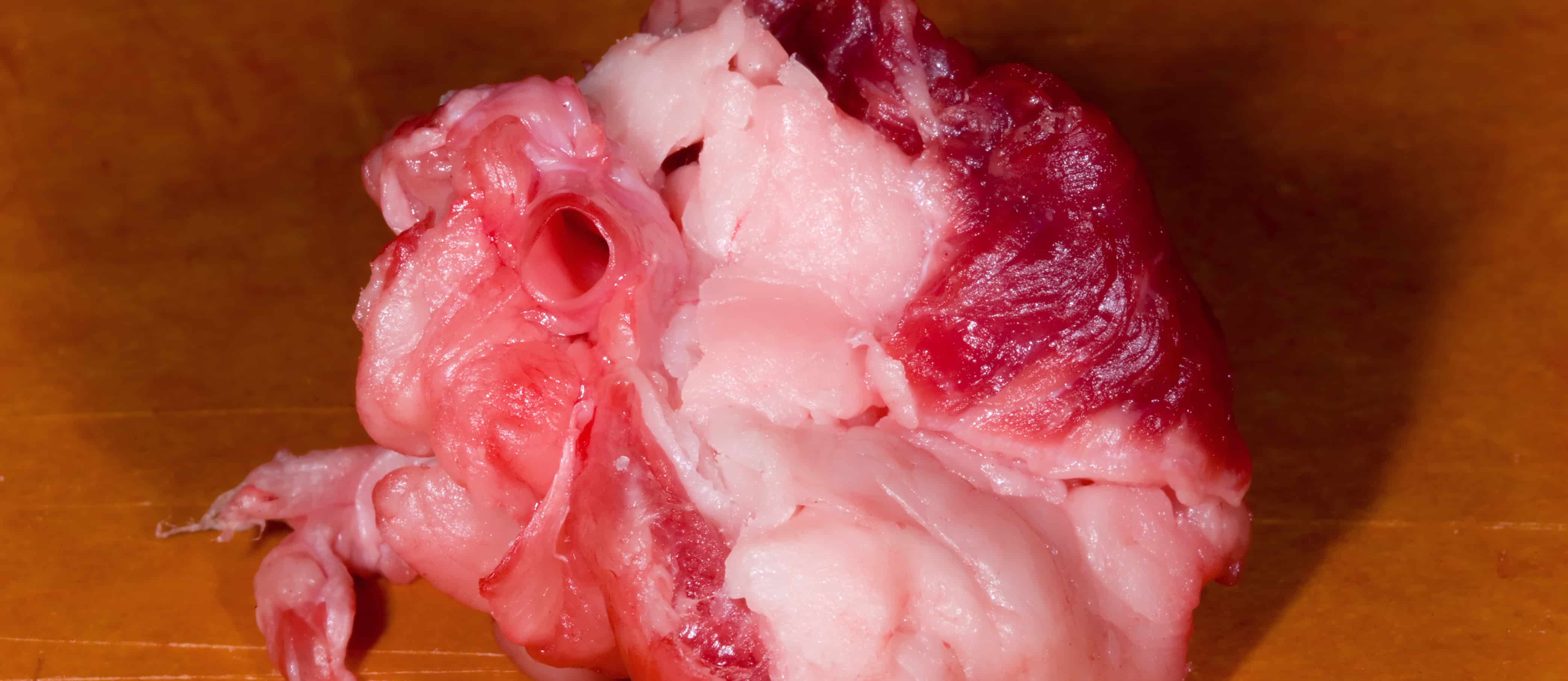 Trans Fat in Meat and Dairy
