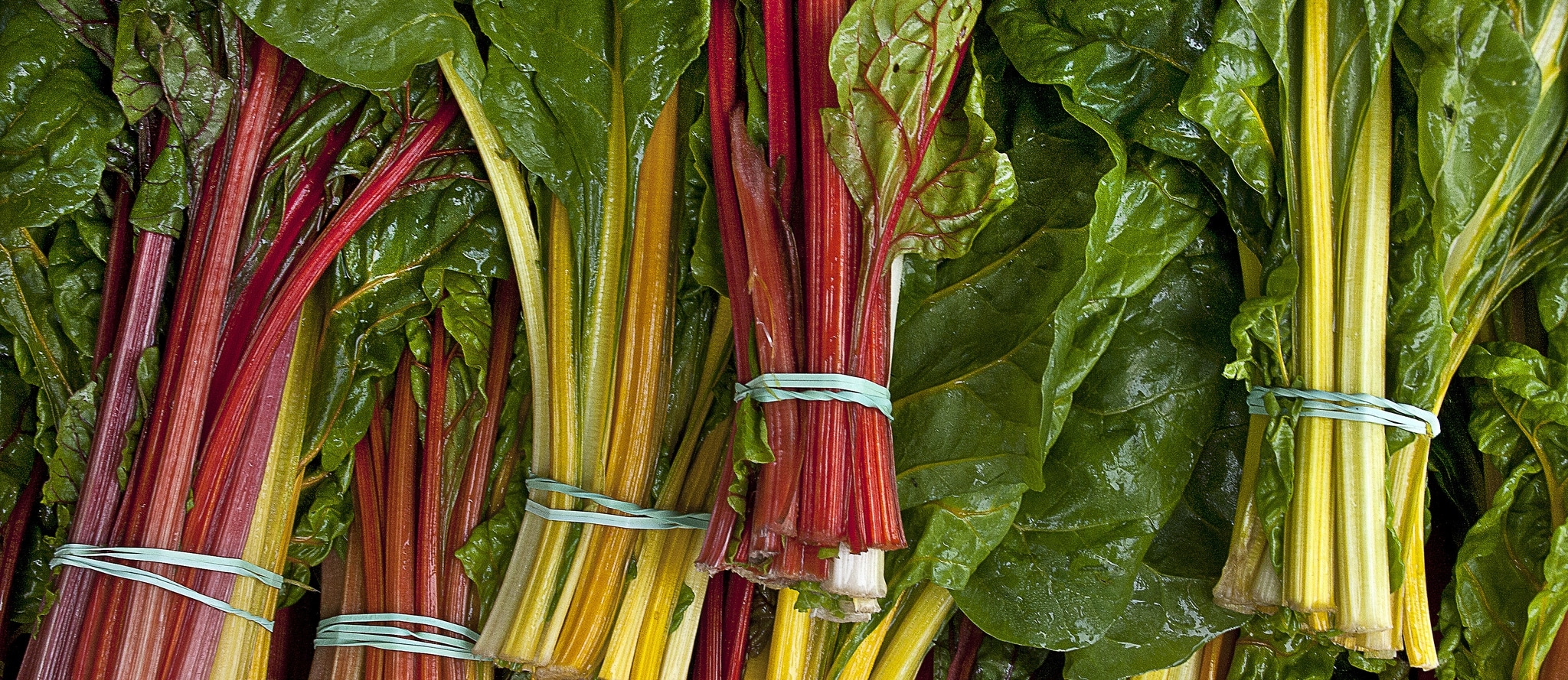 Can We Fight Blues with Greens?