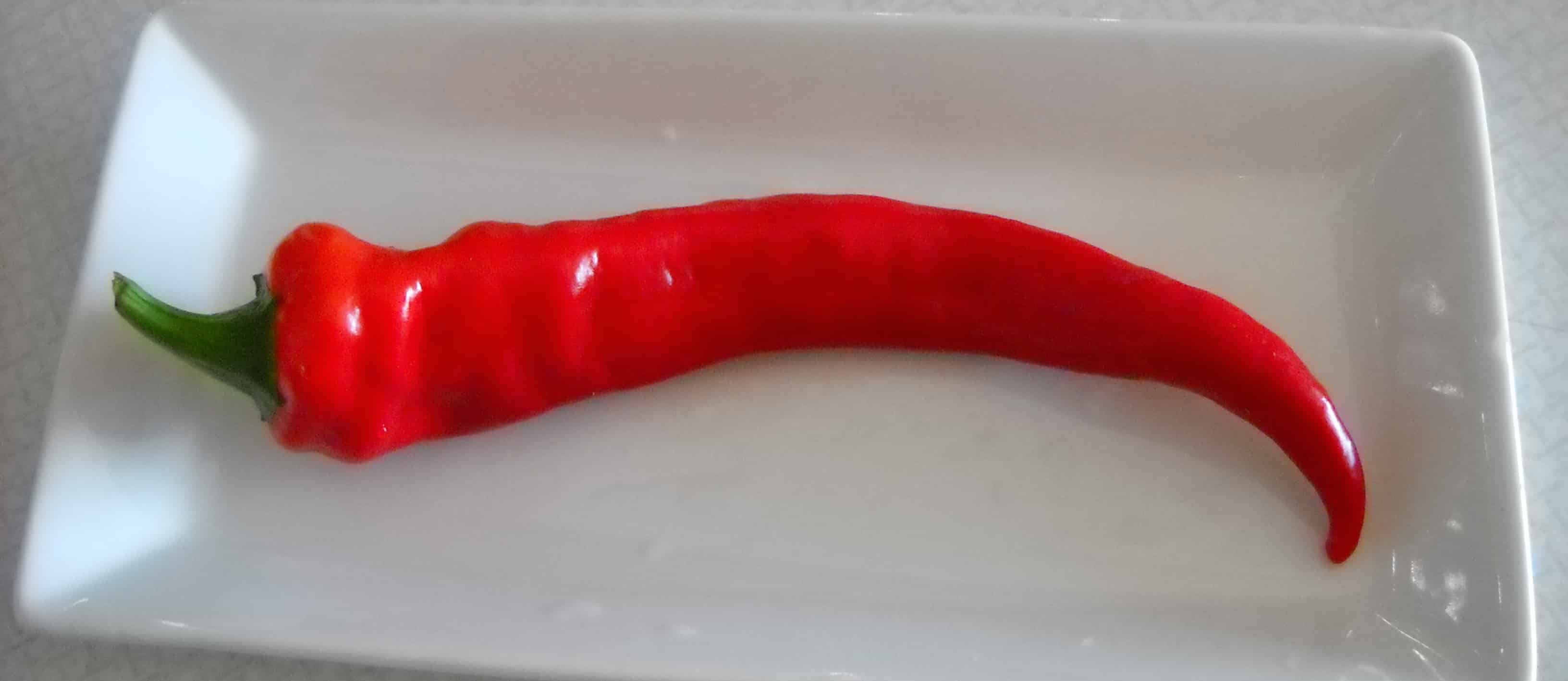 Cayenne Pepper for IBS & Chronic Indigestion