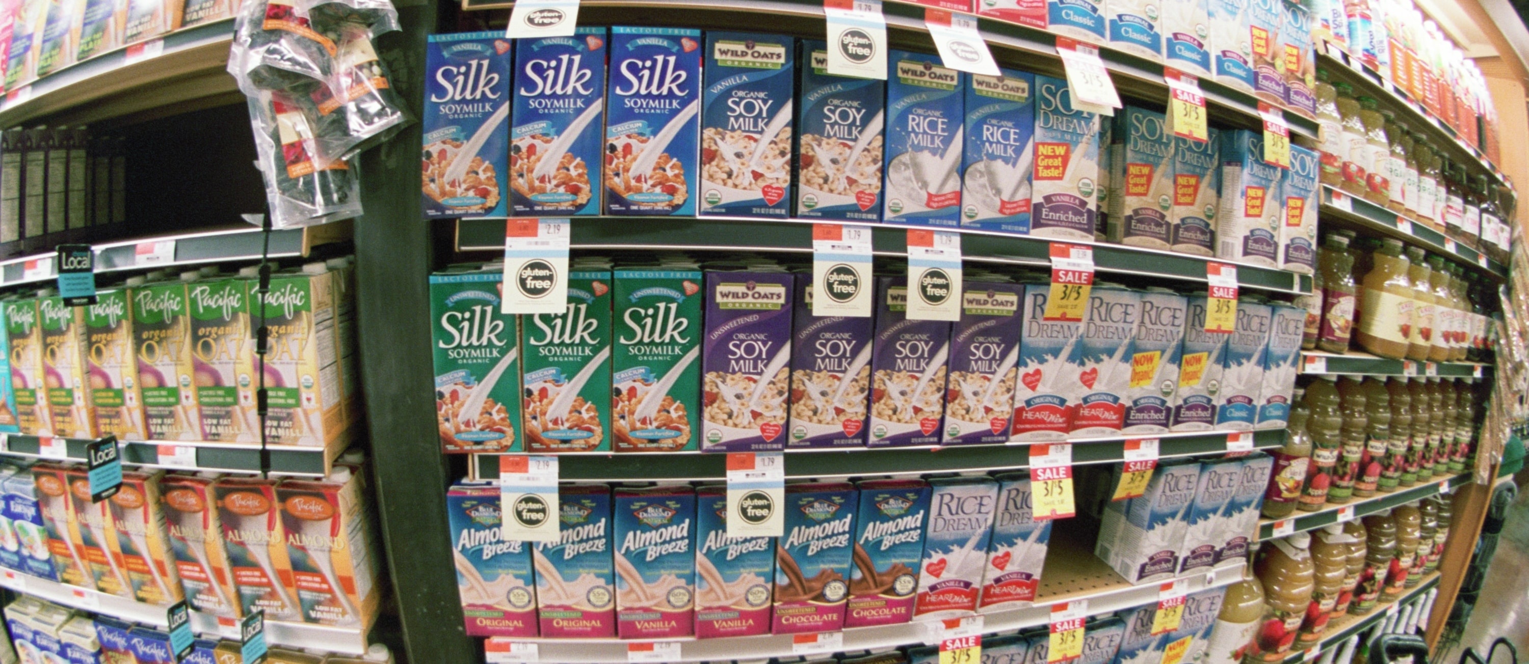 Is Carrageenan Safe?