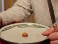 Caloric Restriction vs. Animal Protein Restriction
