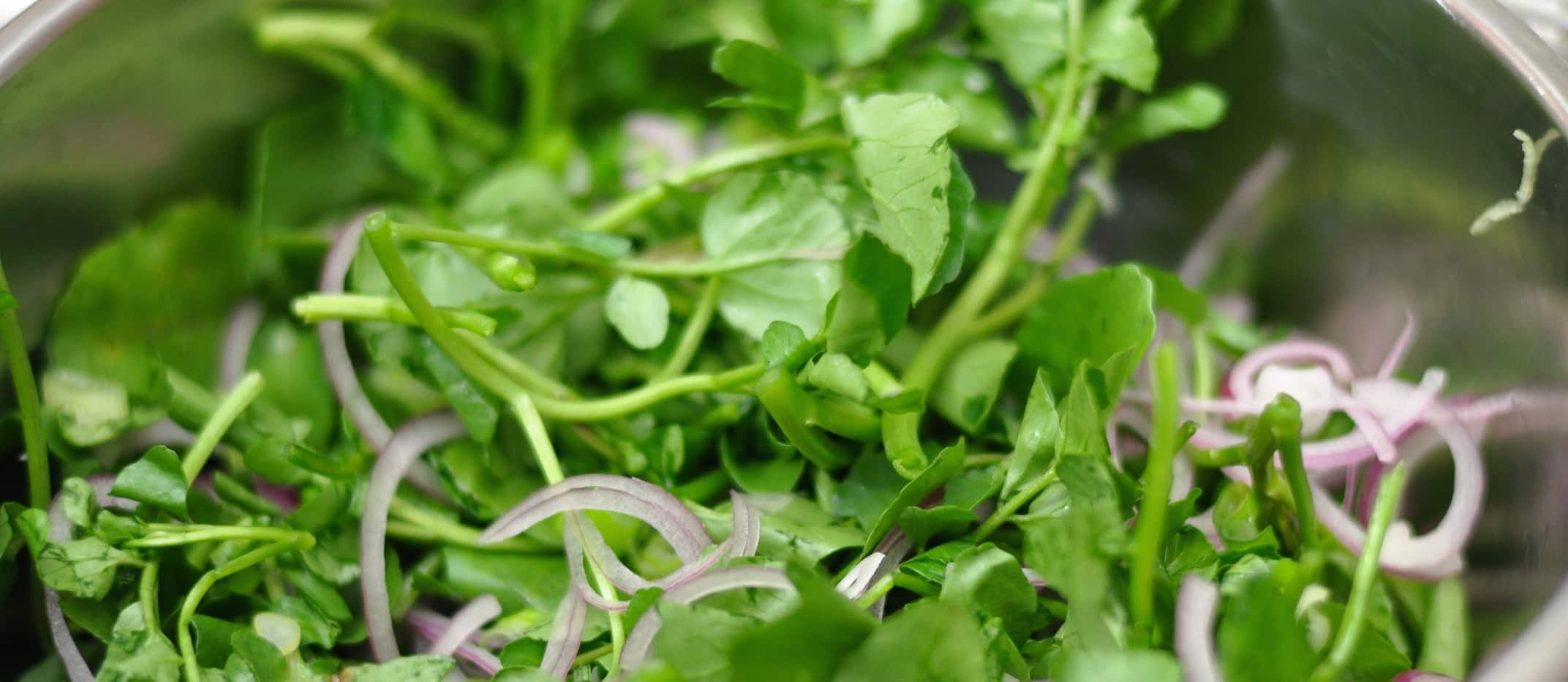 How Watercress Might Prevent Exercise-Induced Oxidative Stress
