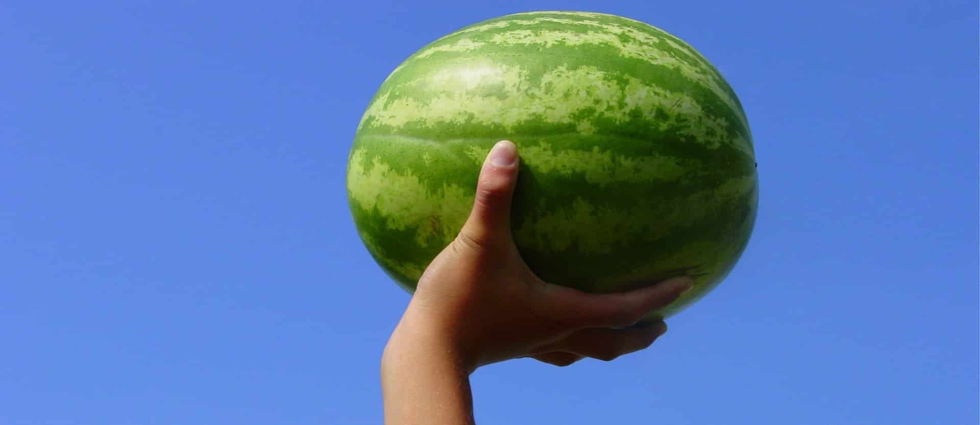 Watermelon for Sore Muscle Relief
