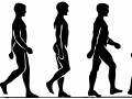 Longer Life Within Walking Distance