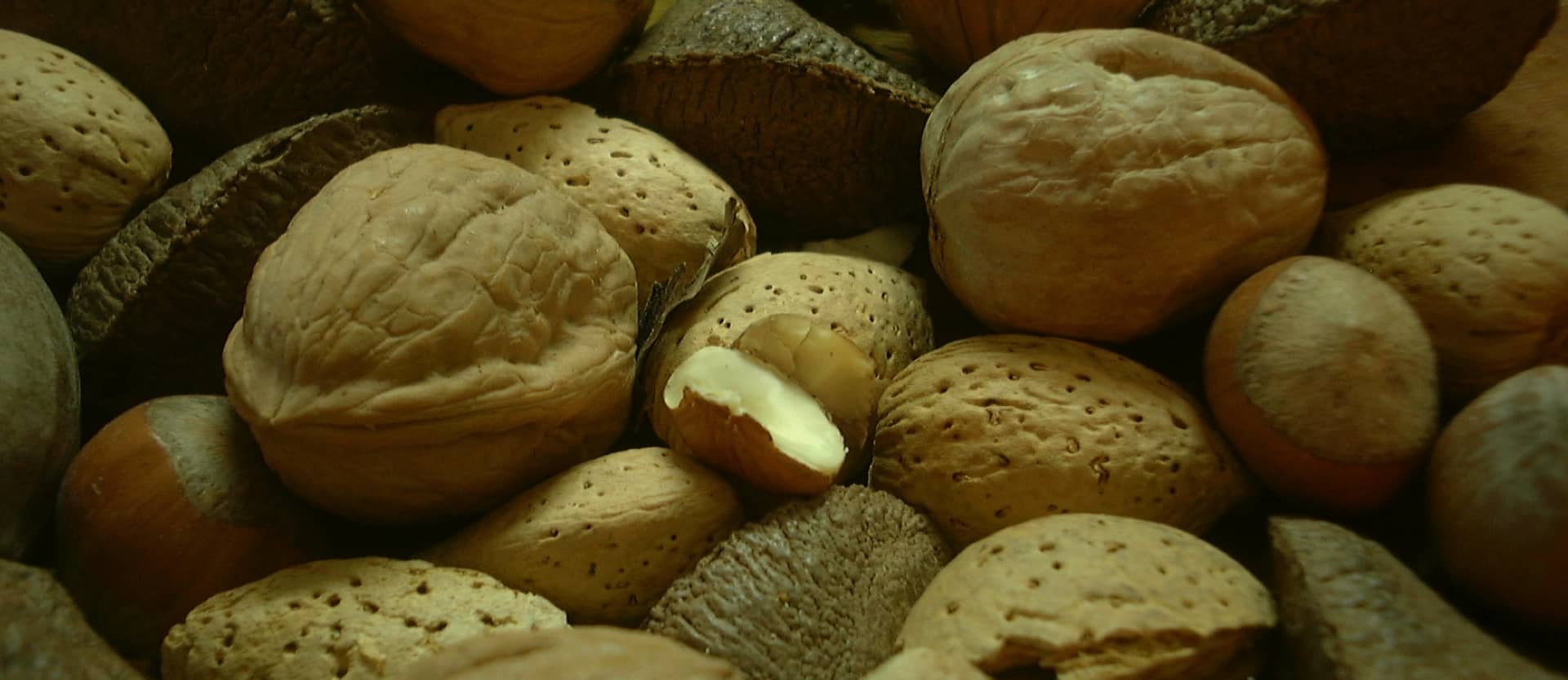 Which Nut Fights Cancer Better?