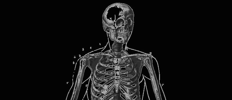 Alkaline Diets, Meat, and Calcium Loss