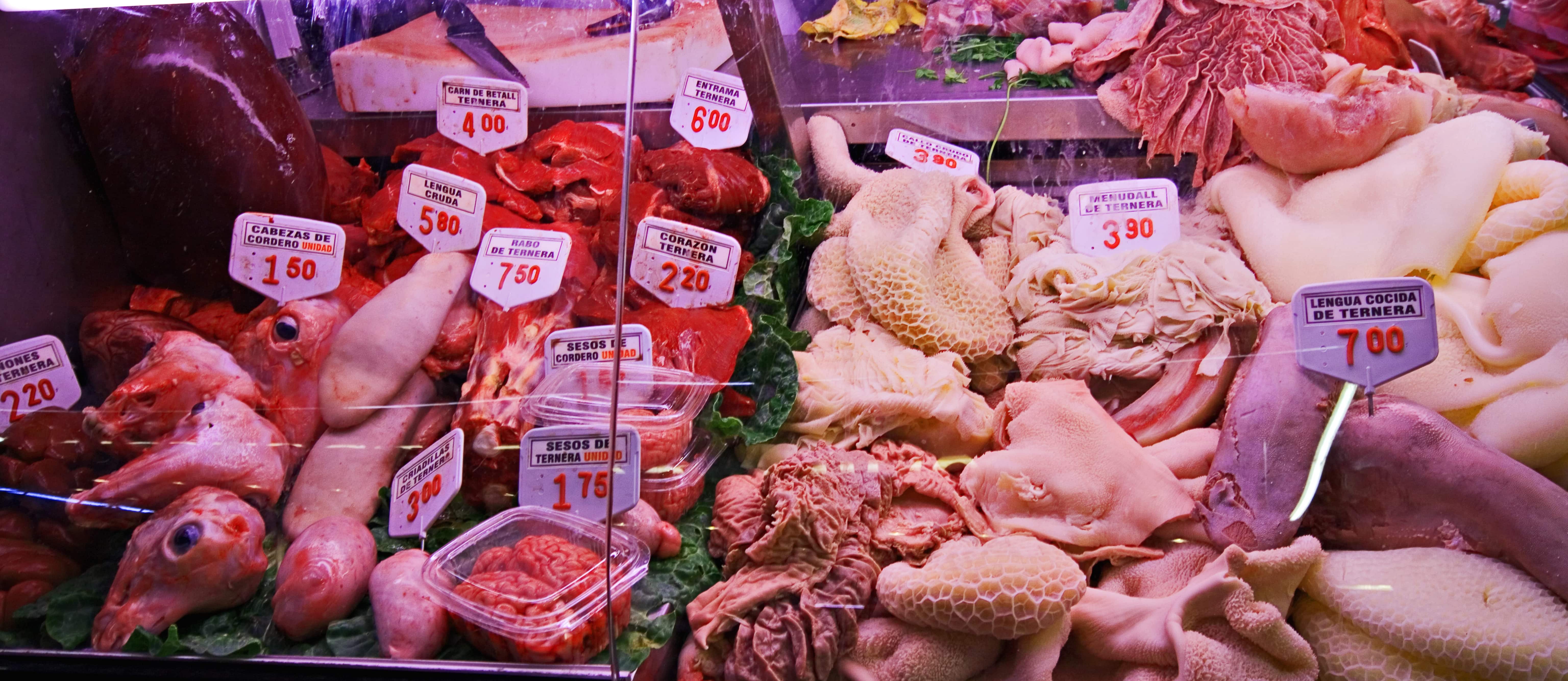 Animal Proteins and Virus Triggering Diseases