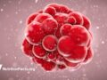 illustration of a tumor