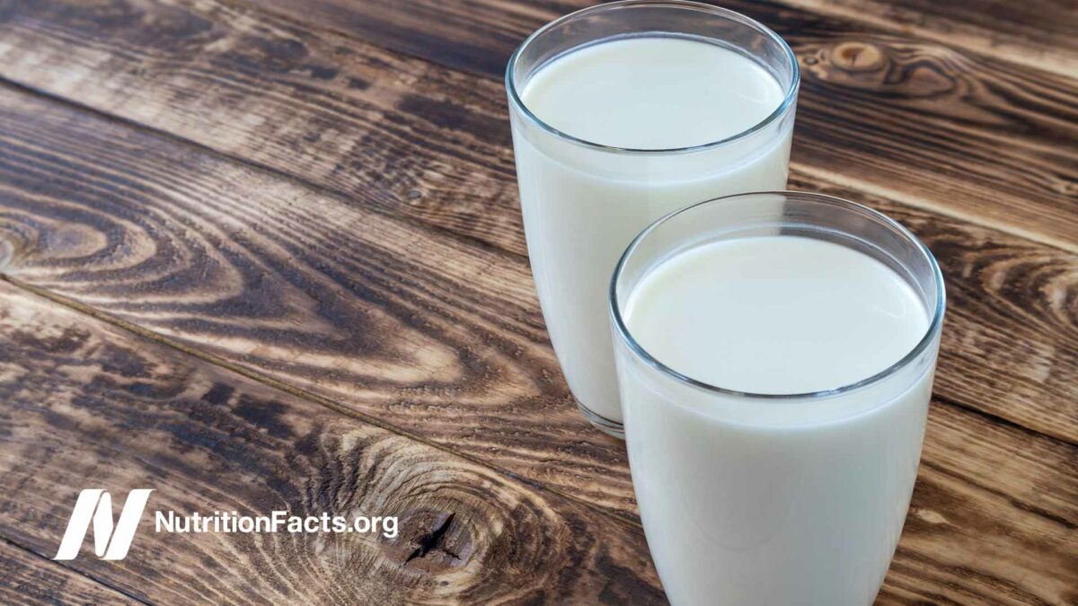 two glasses of milk