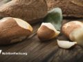 shelled and unshelled brazil nuts
