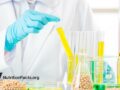 lab beakers filled with yellow chemicals and soy beans