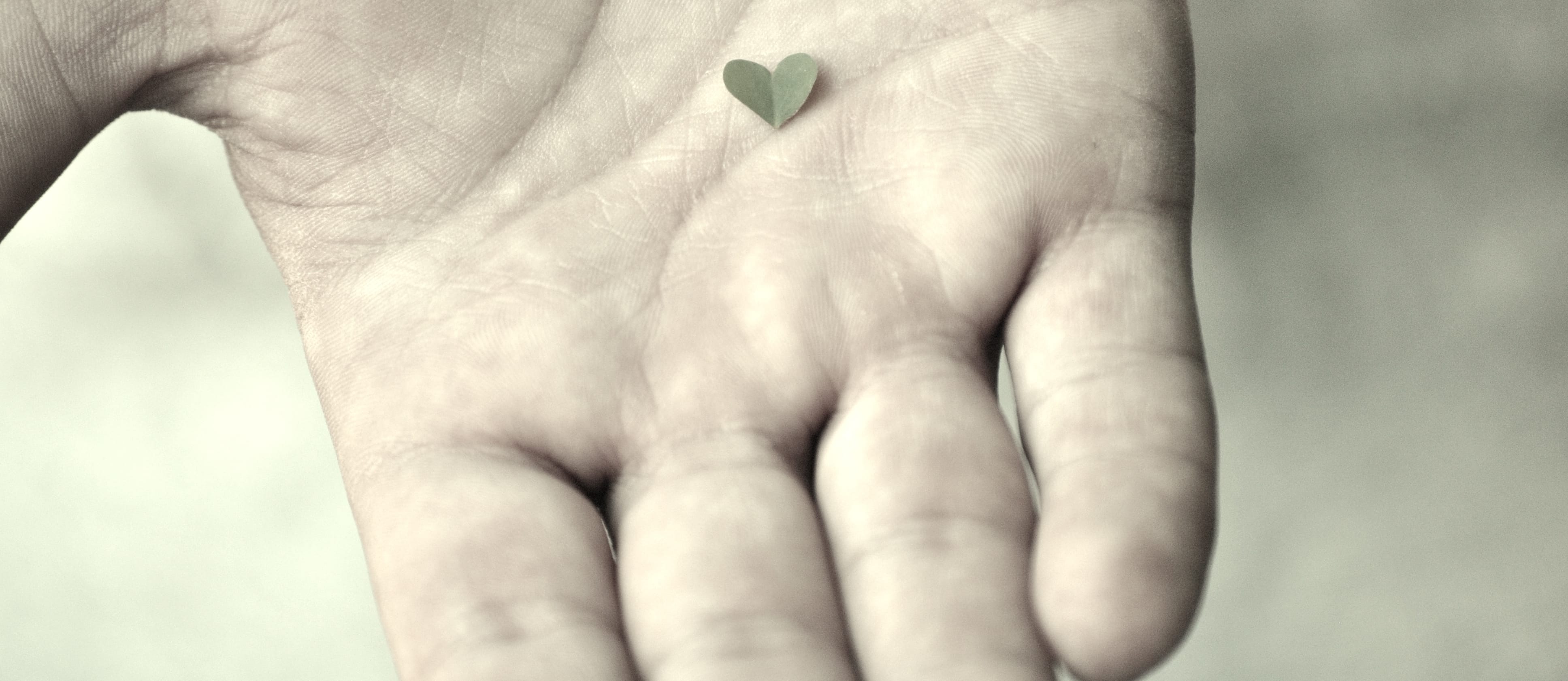What You Need to Know About Preventing Heart Disease