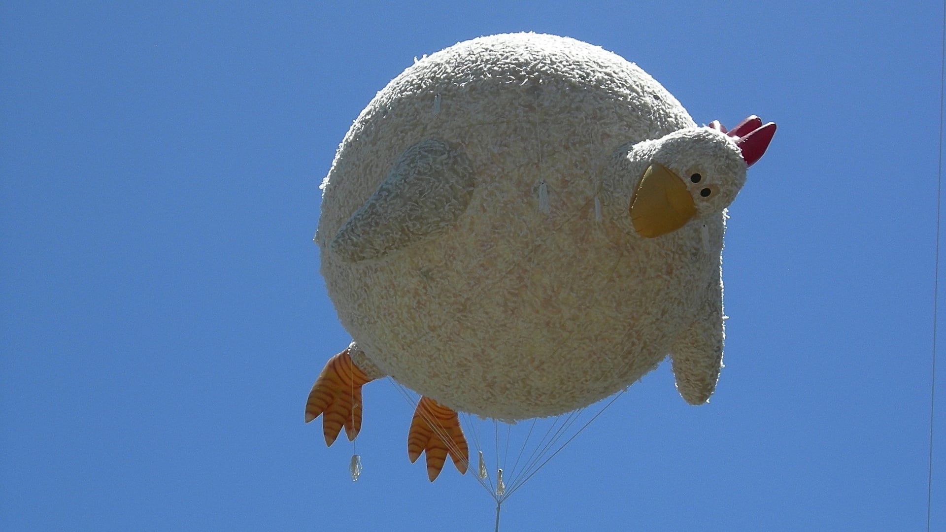 Chicken Big: Poultry and Obesity