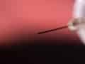 What Causes Insulin Resistance?