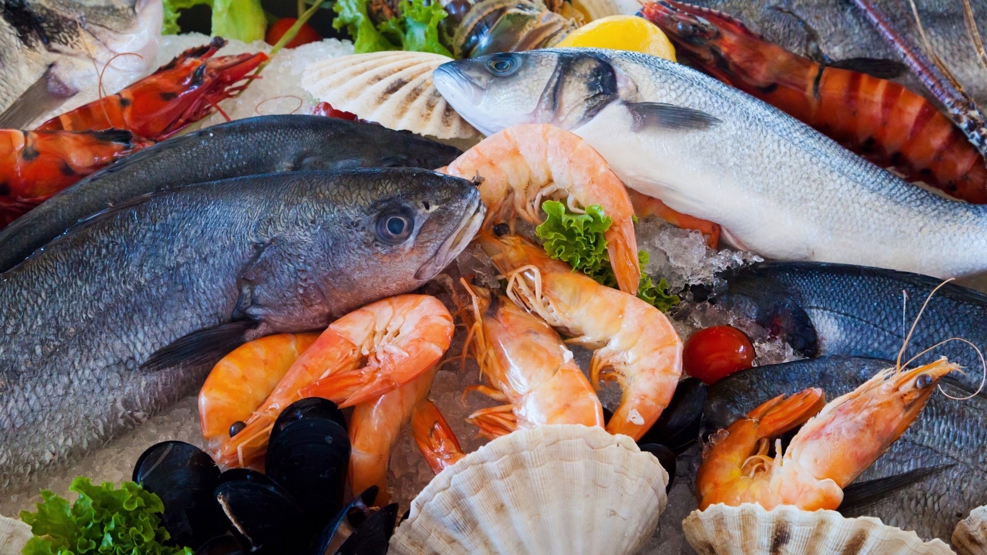 Diet and Amyotrophic Lateral Sclerosis (ALS)