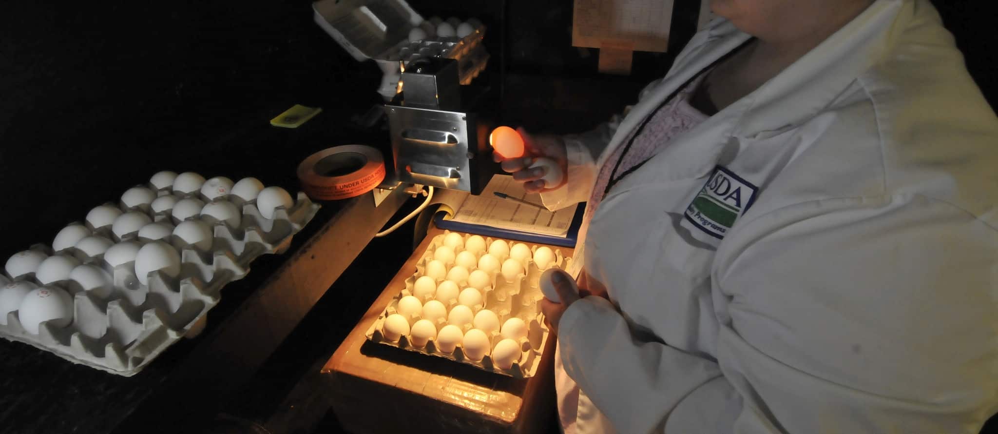 Who Says Eggs Aren’t Healthy or Safe?
