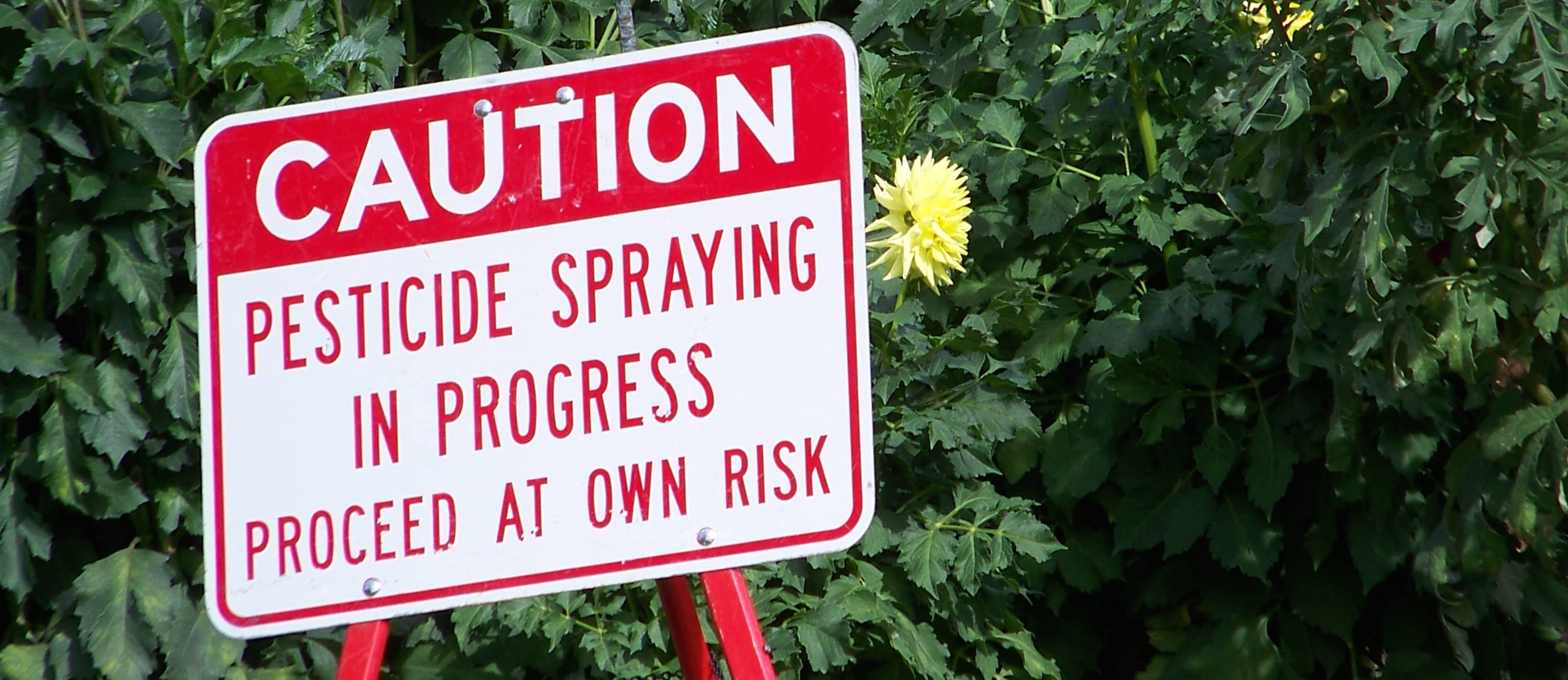 Did Pesticides Cause Your Food Poisoning?