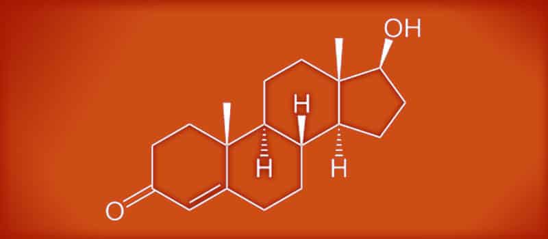 What does the research say about dietary interventions on women with PCOS?