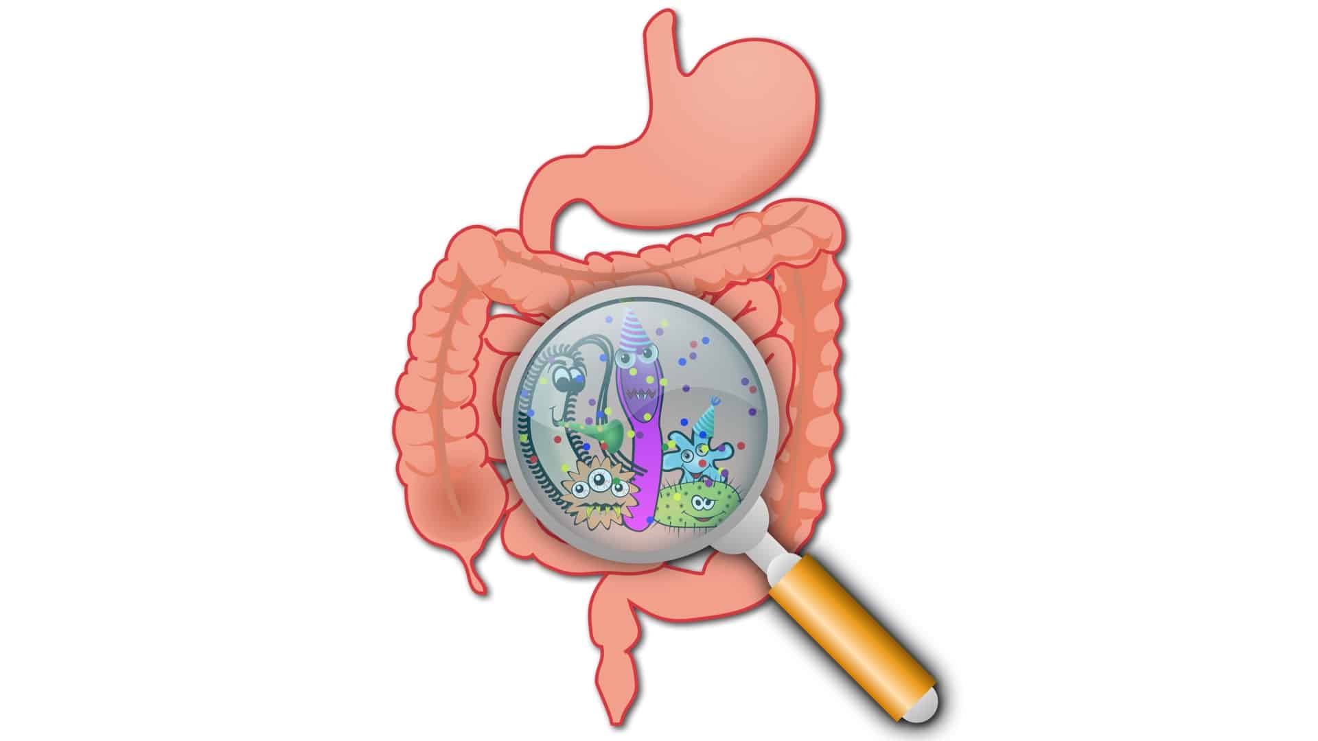 Bowel Wars: Hydrogen Sulfide vs. Butyrate