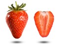 Are Organic Foods More Nutritious?