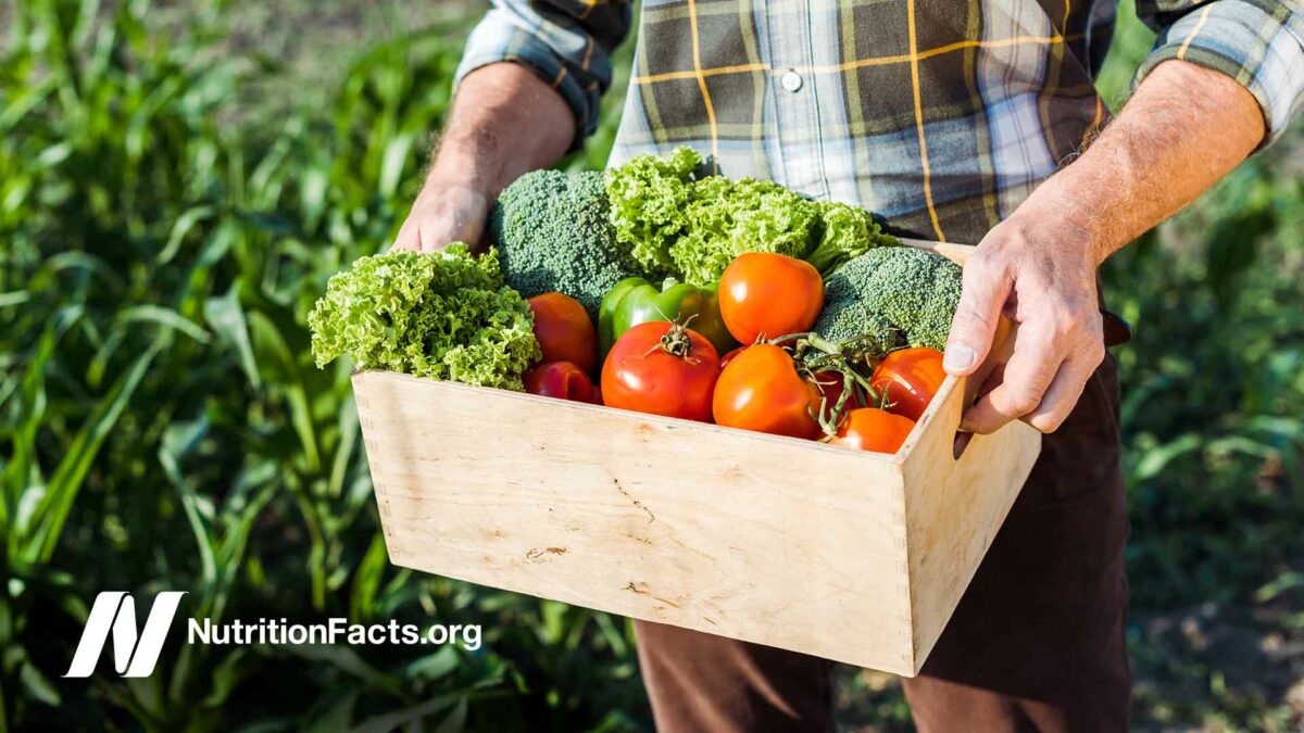 farmer carrying box of veggies