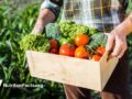 farmer carrying box of veggies
