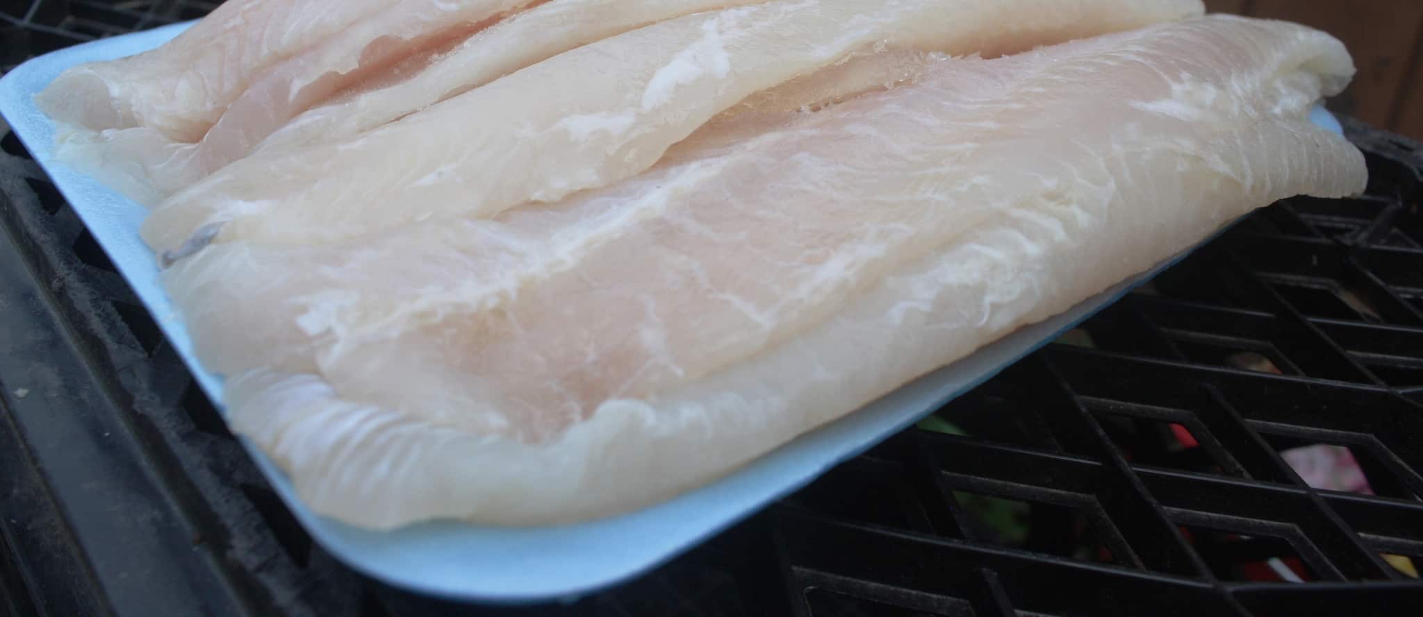 What is “Meat Glue”?