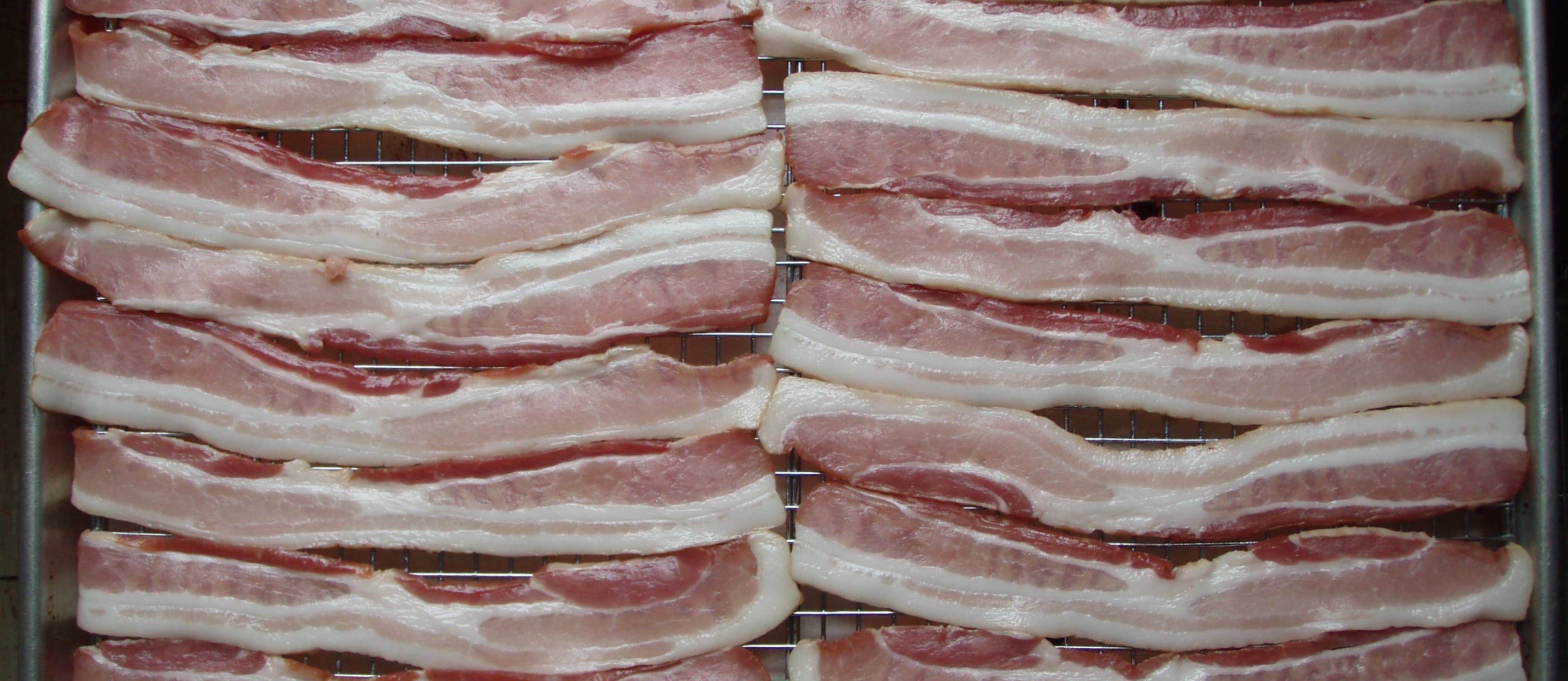 Low Carb Diets and Coronary Blood Flow