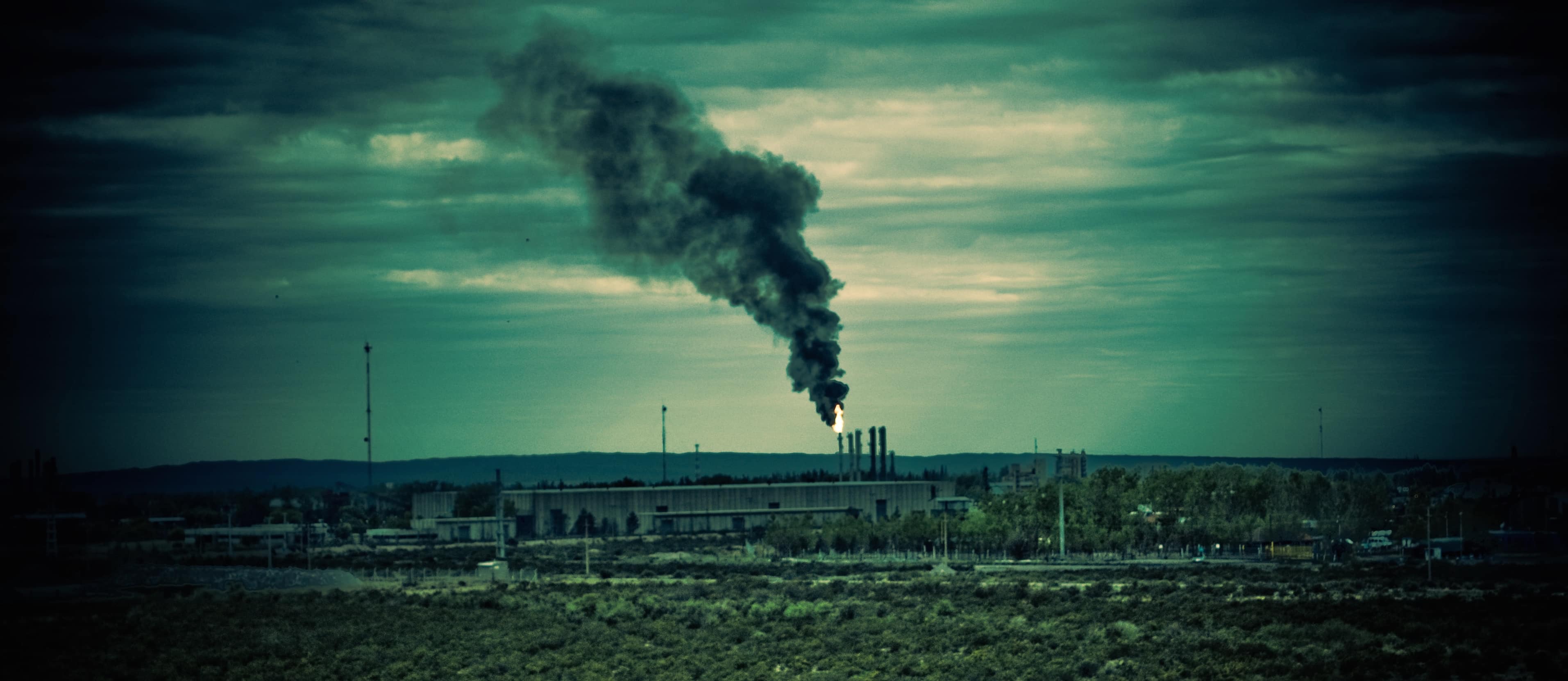 Diabetes and Dioxins