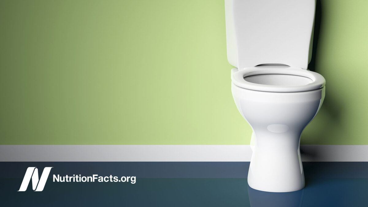 toilet in green bathroom