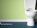 toilet in green bathroom