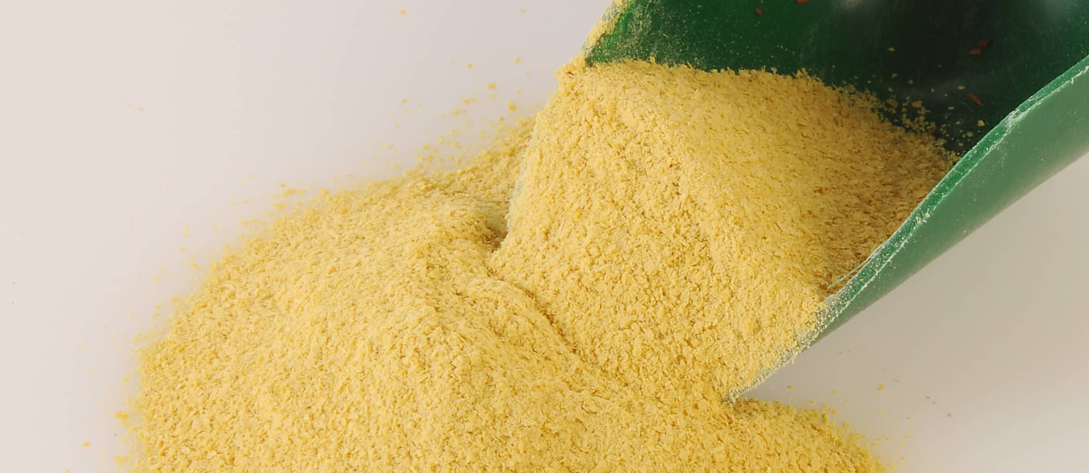 Yeast