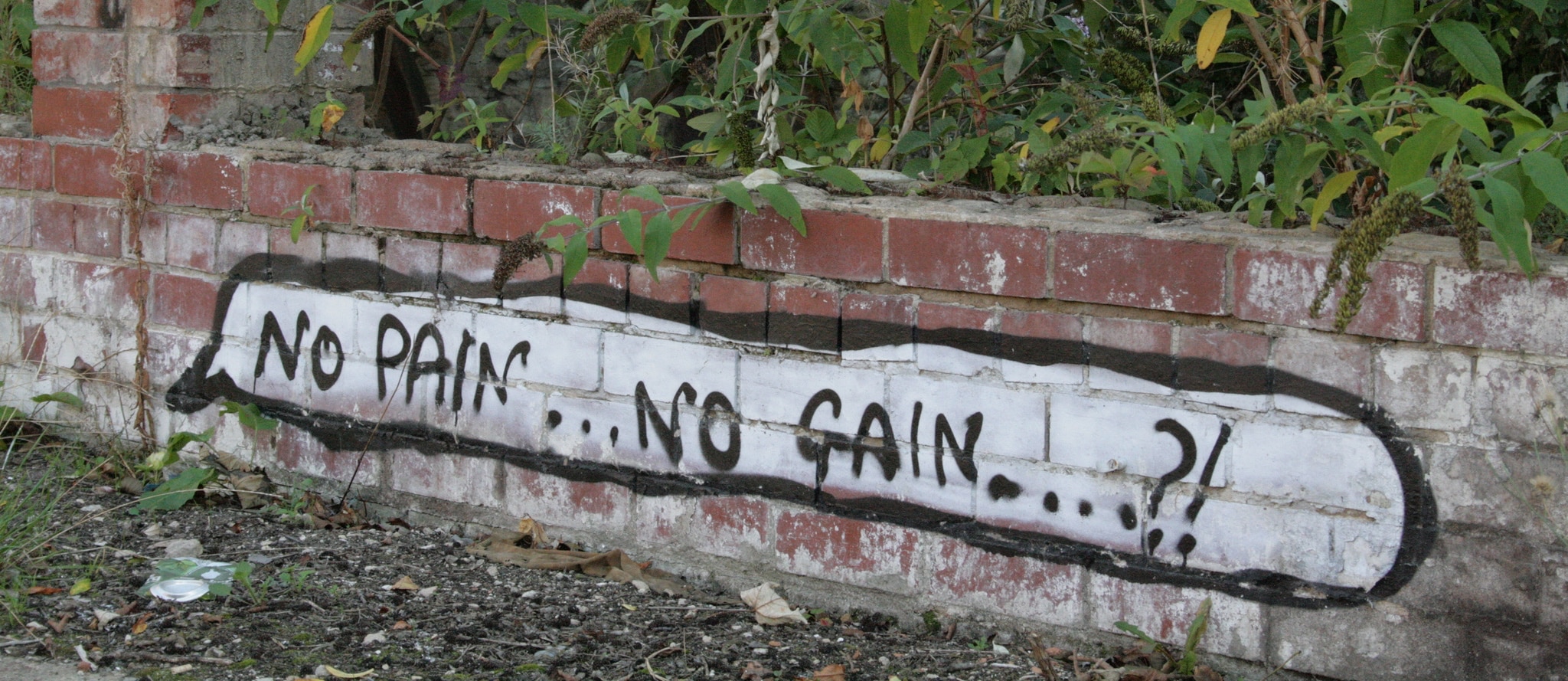 Xenohormesis- What doesn’t kill plants may make us stronger