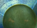 The Downside of Green Smoothies