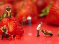 Alimentación basada en plantas para mejorar el humor y la productividad