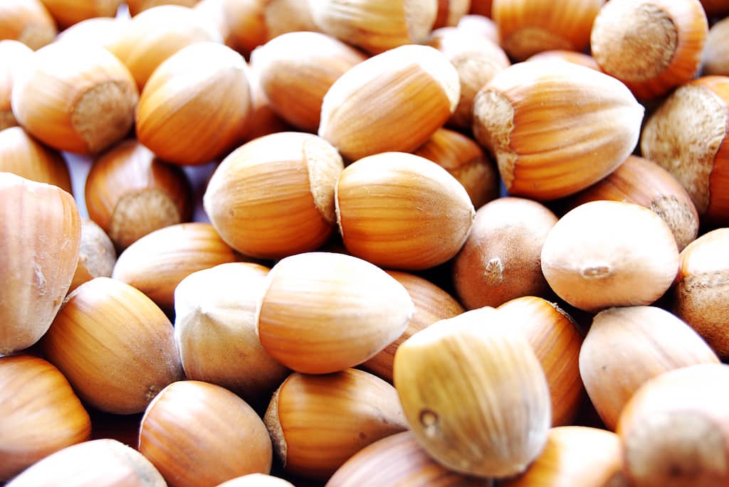 Do nuts and seed have a high acid load that could be bad for the kidneys?