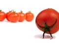 Mediterranean Diet and Atherosclerosis