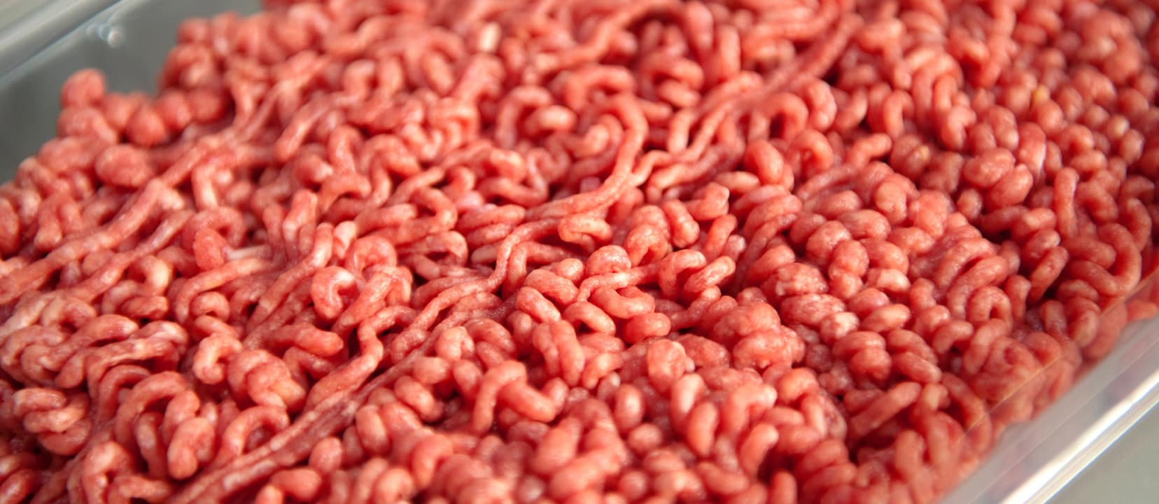 Alzheimer’s Disease Grain Brain or Meathead