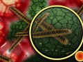 ¿Cuál es el enterotipo de tu microbioma intestinal?