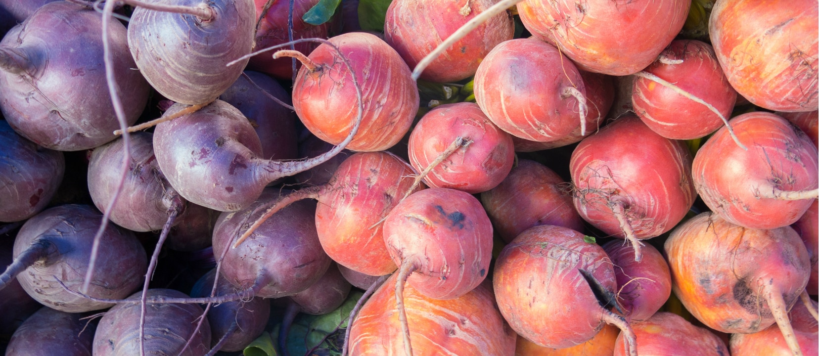 Bile Binding Beets