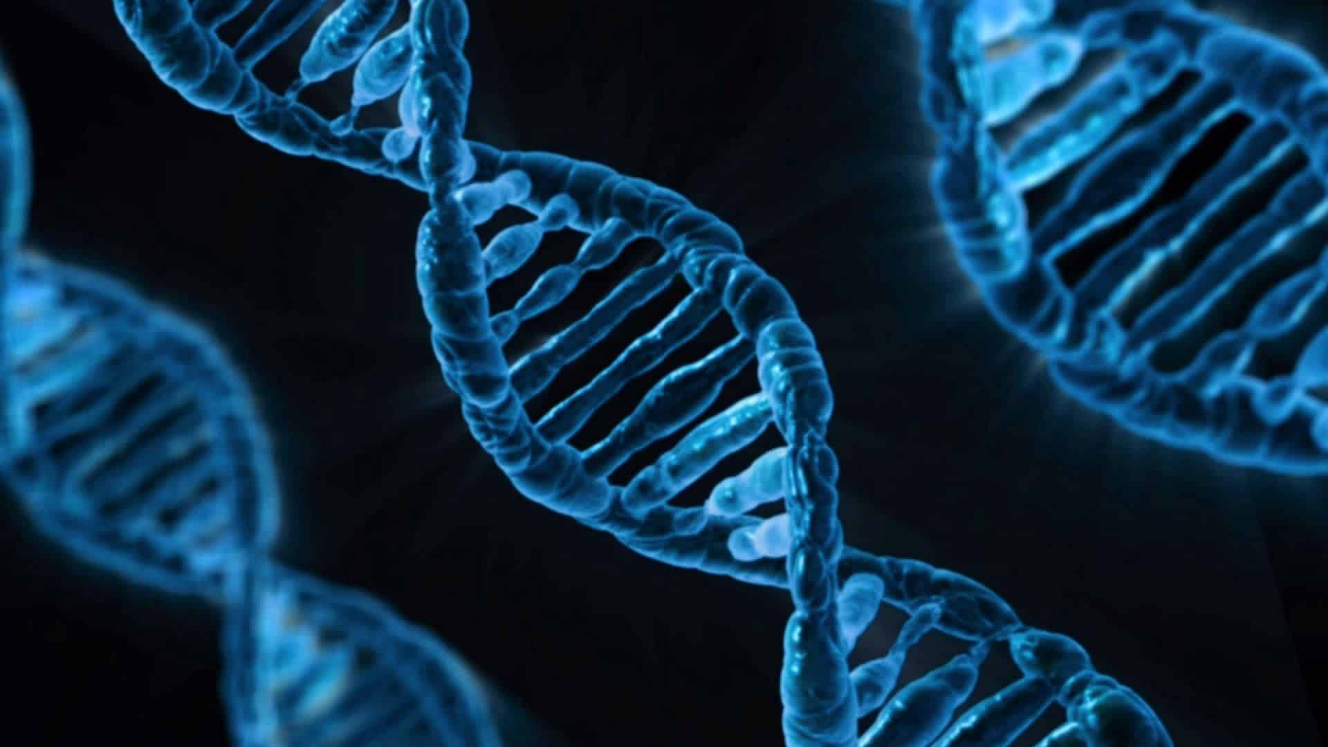 1. The Alzheimer’s Gene: Controlling ApoE