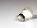 The Evidence That Salt Raises Blood Pressure