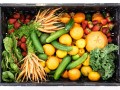 Specific Receptors for Specific Fruits and Vegetables