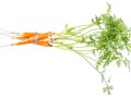 Reversing Diabetes with Food