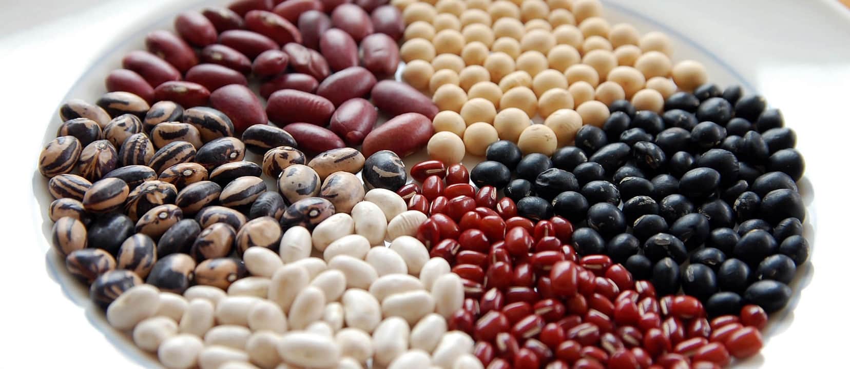 Beans Beans They're Good For Your Heart